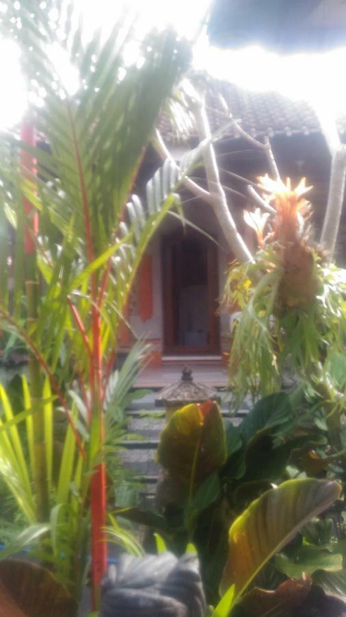 Dewi Antara Homestay Ubud Exterior foto